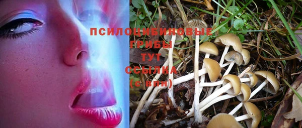 сатива Гусиноозёрск