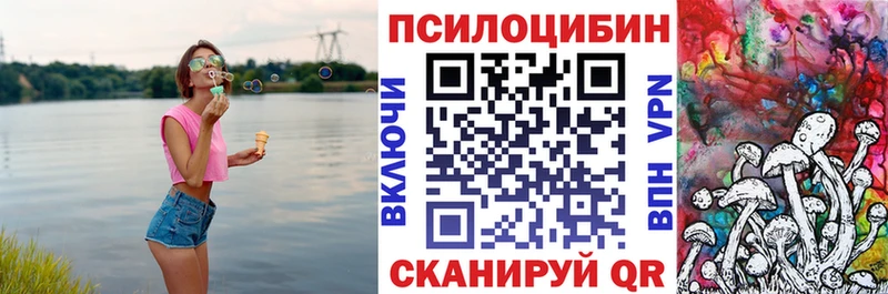 Купить где  Жердевка  Галлюциногенные грибы прущие грибы 